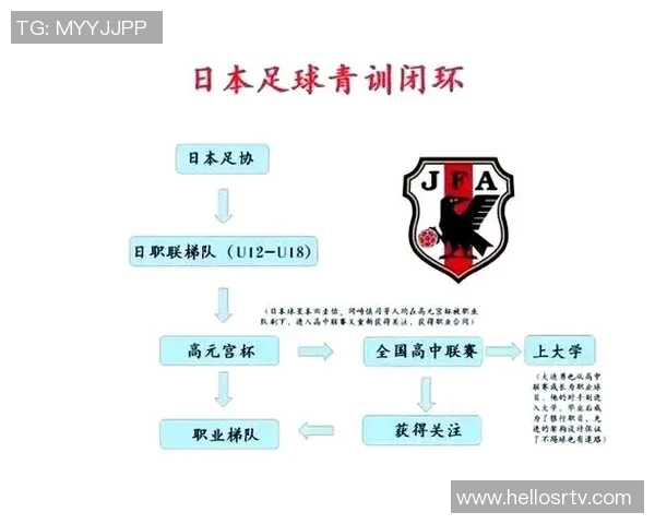 足球青训体系与发展趋势 足球青训体系与发展趋势